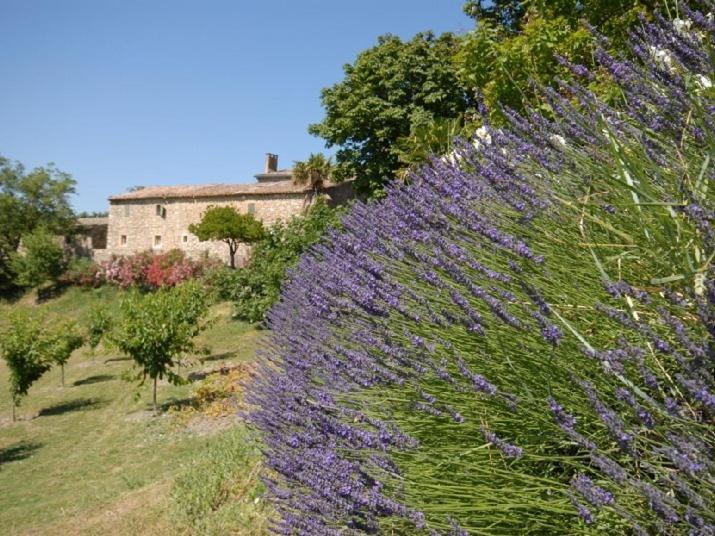 Domaine De Cousignac Bed & Breakfast บูร์ก-แซ็ง-ต็องเดอ็อล ภายนอก รูปภาพ